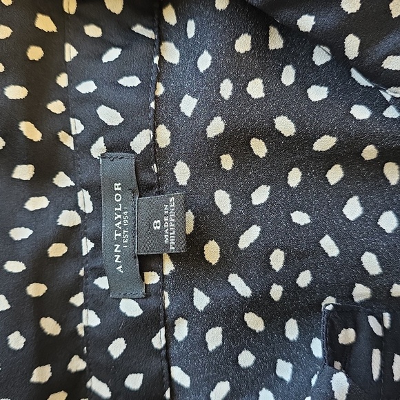 Ann Taylor Sheer pull-over Tunic button polka dot blouse size 8 - Picture 2 of 14
